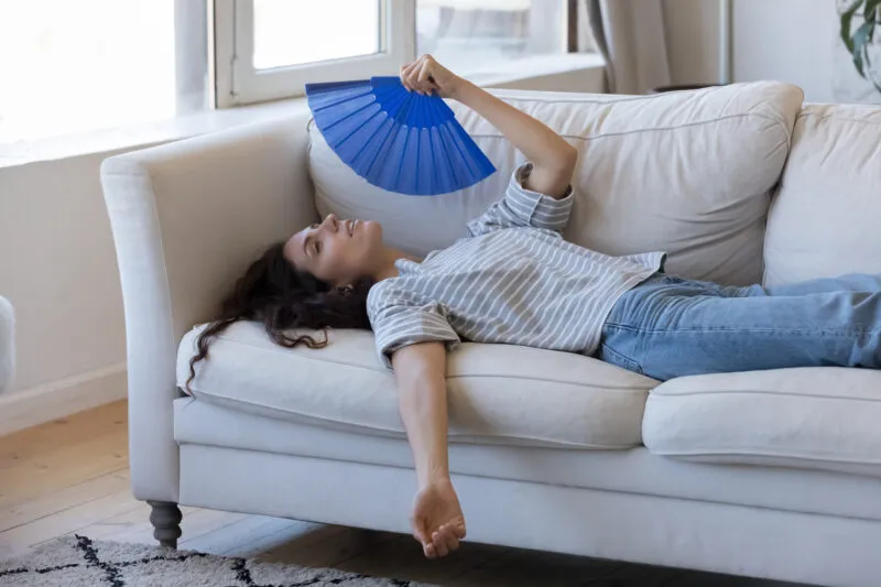 Image for Why Do You Need a Whole-Home Dehumidifier?