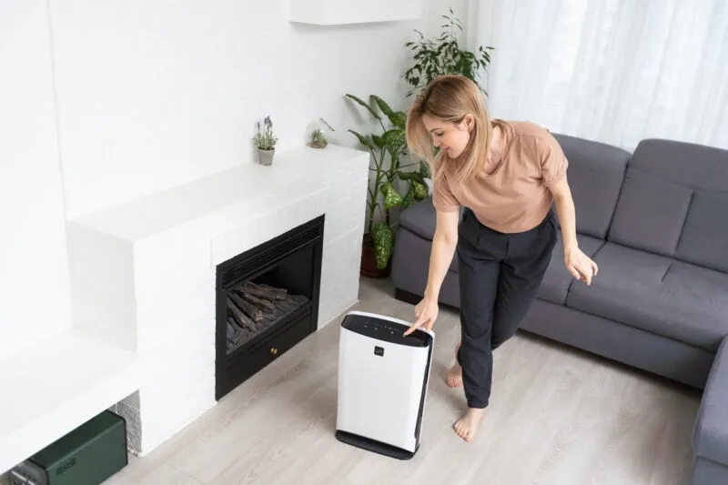 Image for Do You Need a Dehumidifier? 5 Signs Your Home Has Too Much Moisture