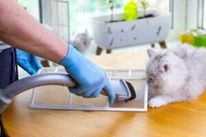 Air Filter Cleaning