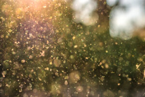 Clean Air