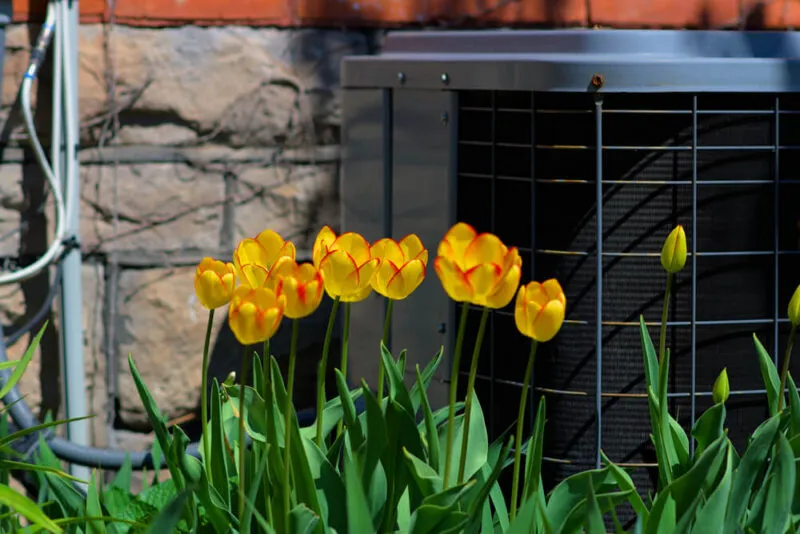 Image for Top 5 Reasons Why Spring AC Maintenance is Important
